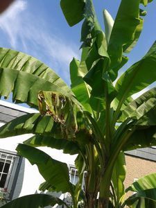 Neue M&ouml;glichkeiten durch Erderw&auml;rmung?