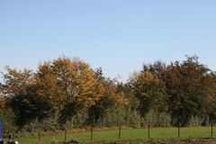 Sporen bleiben hartnäckig