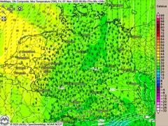 Nebel bleibt hartnäckig