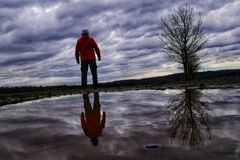 &Uuml;berall dichtes Gew&ouml;lk?